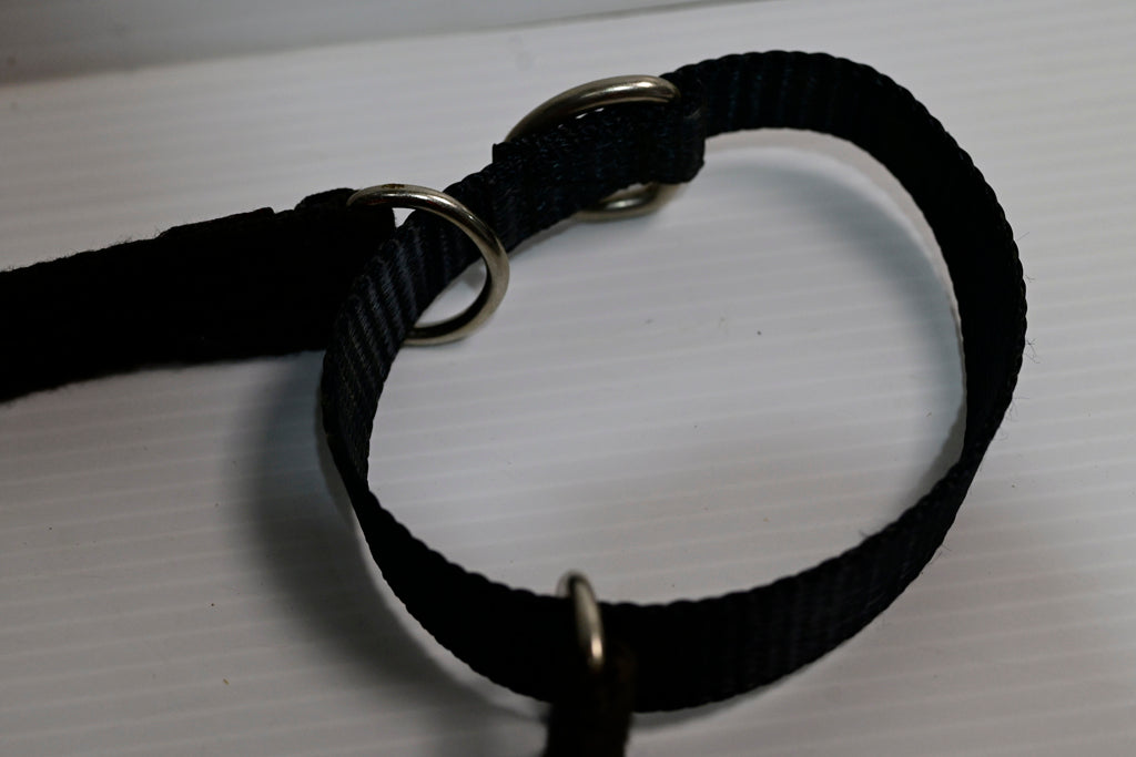 Blackdog Training Collar Medium  (neck Adj. 35-43cm) [cl:black Sz:medium]