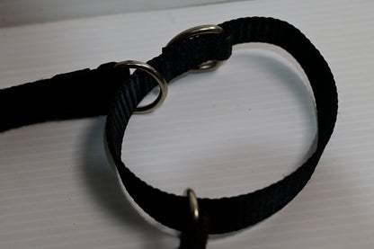 Blackdog Training Collar Medium  (neck Adj. 35-43cm) [cl:black Sz:medium]