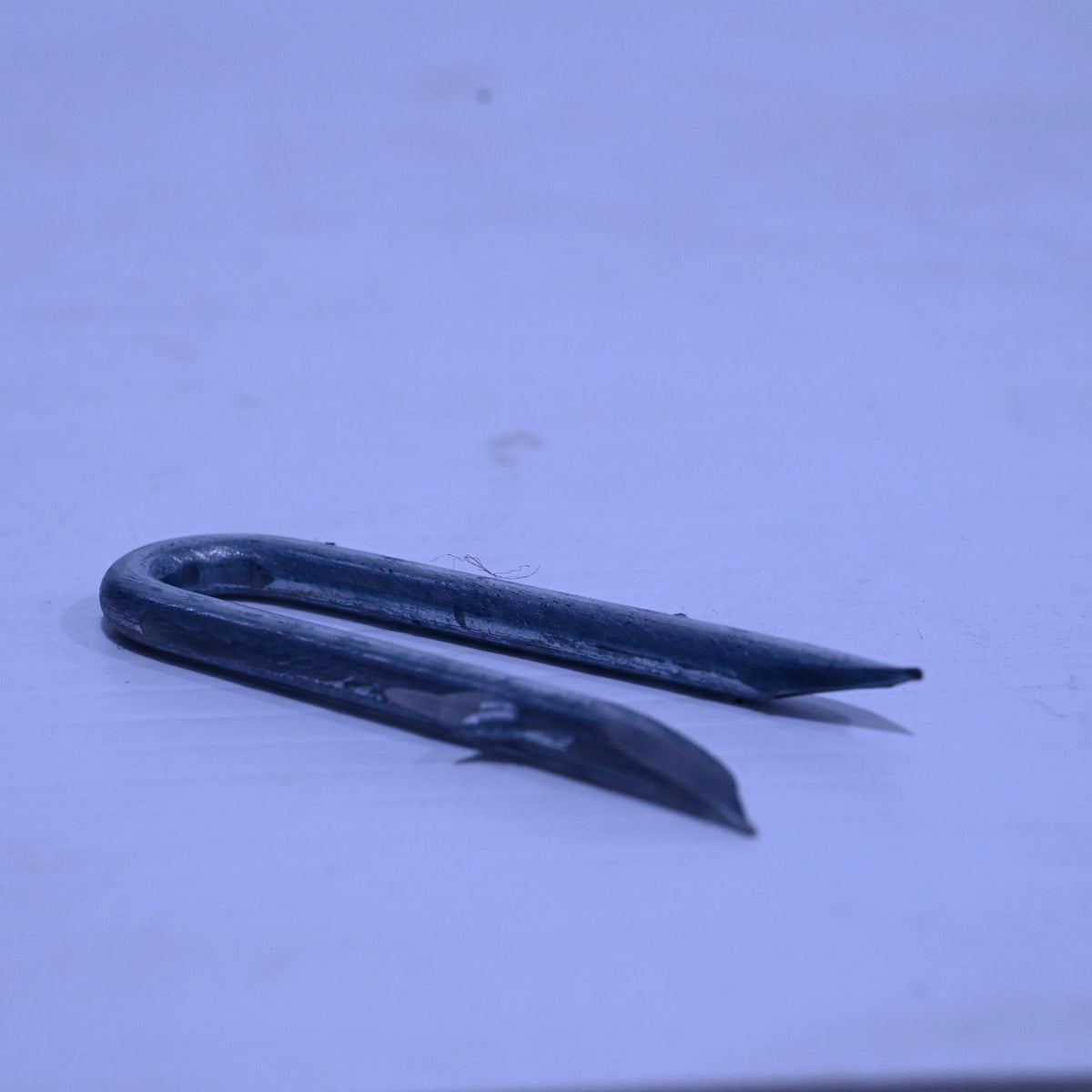 Cyclone Fencing  Staples 50mm X 4mm 500gm
