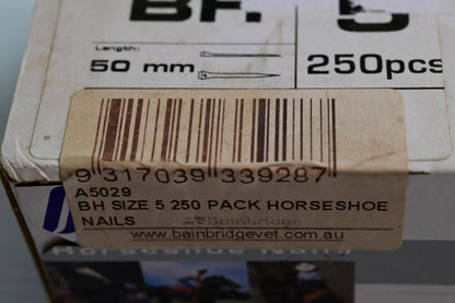 Bh Size 5 Horseshoe Nails