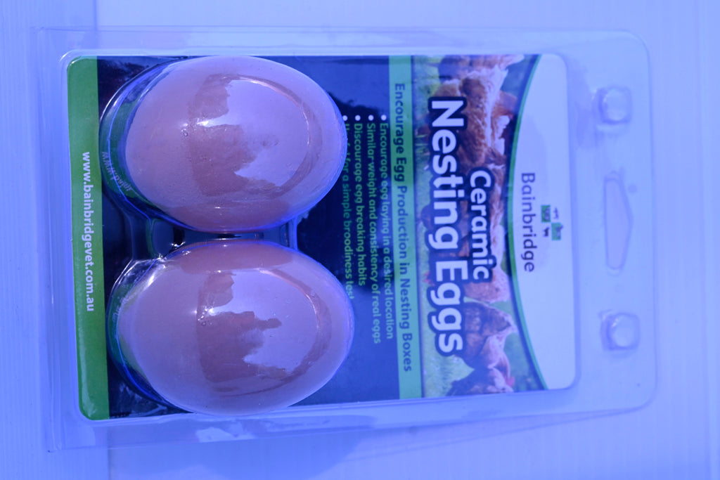 Nesting Eggs Poultry - Ceramic (2 Pack)
