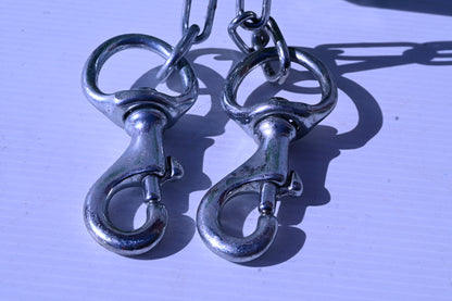Dog Restraint Chain [sz:4mx3mm]