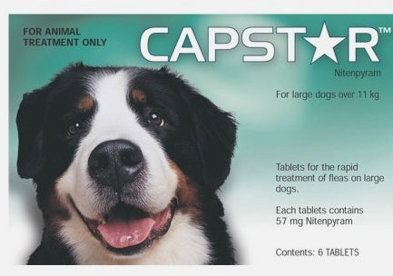 Capstar Large Dog 11.1-15kg Flea Treat