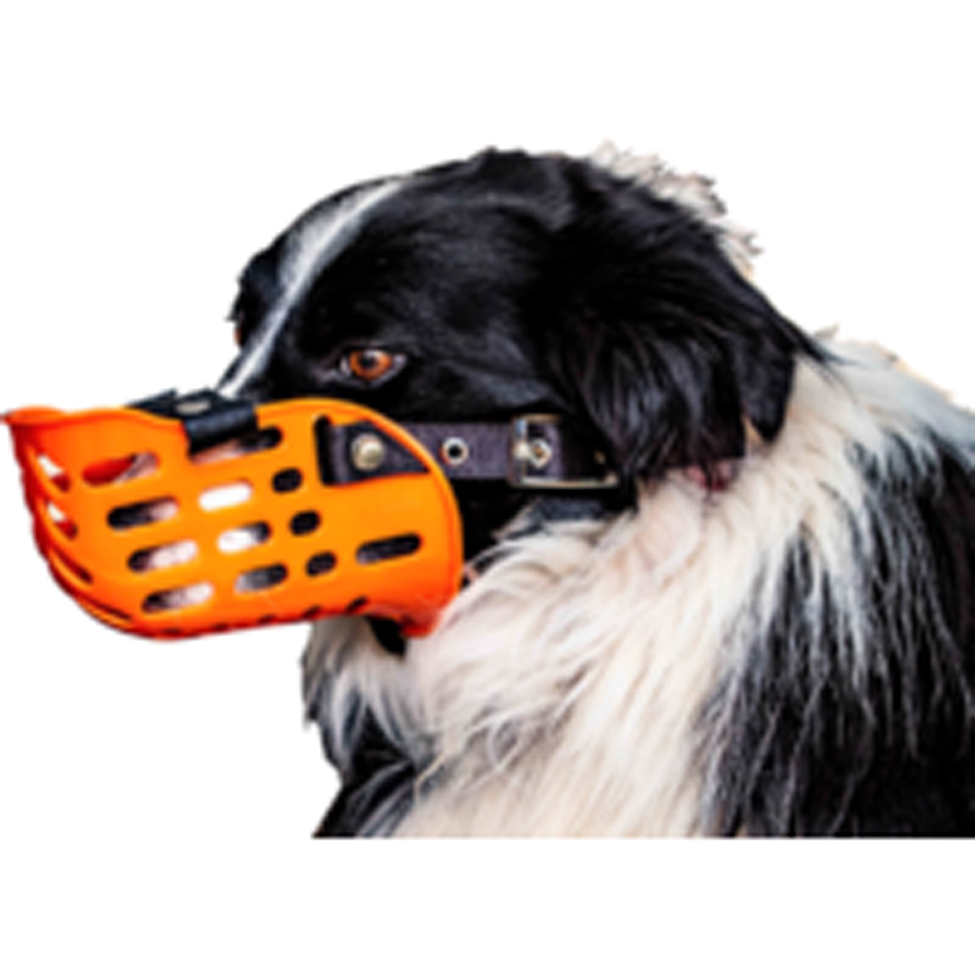 Agboss Working Dog Muzzle - Plastic