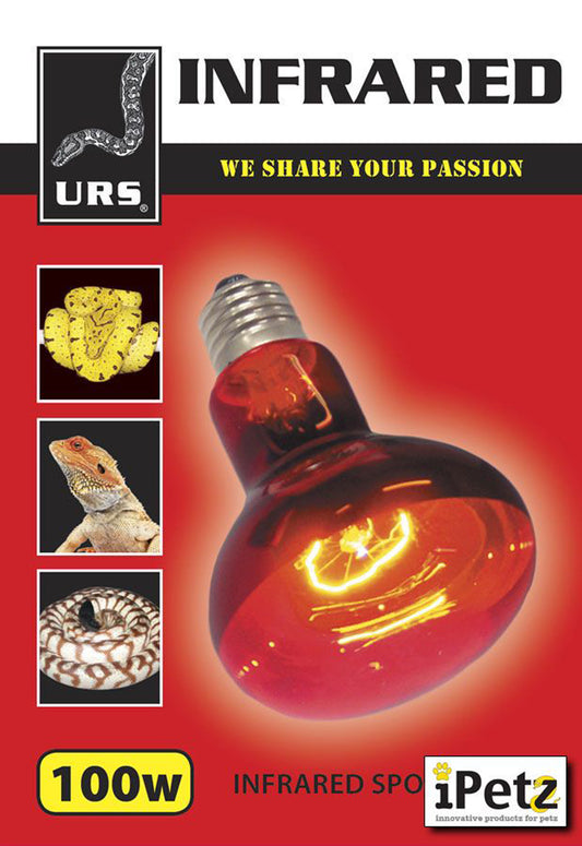 Globe Infrared Lamp-100watt