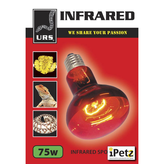 Globe Infrared Lamp 75 Watt