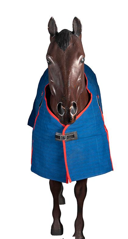 Horsemaster Ripstop Canvas Horse Rug W/blanket Lining [sz:5'9/175cm]