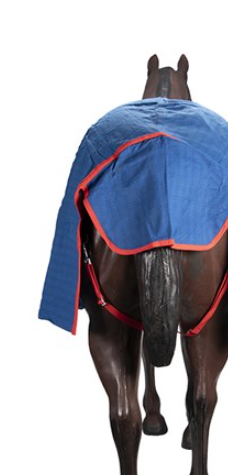 Horsemaster Ripstop Combo W/blanket Lining Blue [sz:5"0/153cm]