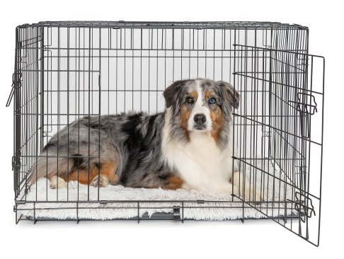 Dog Training Crate 30" 76*45*52