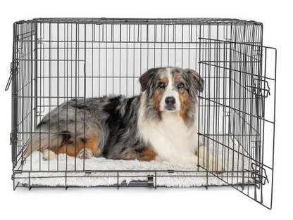 Dog Training Crate 30" 76*45*52