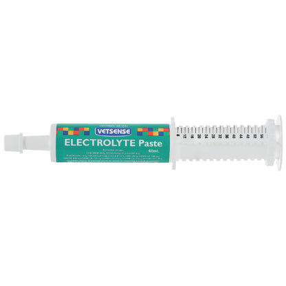 Vetsense Electrolyte Paste 60ml