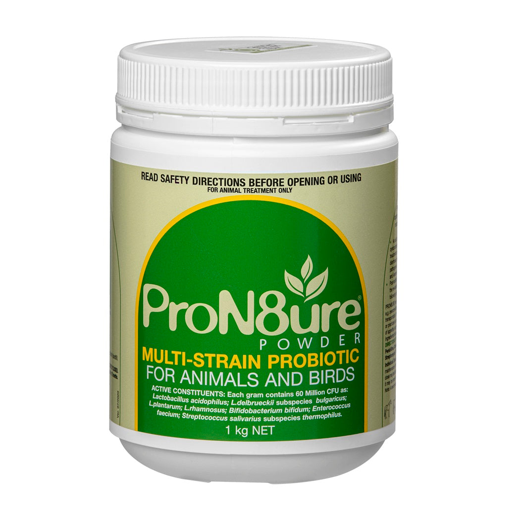 International Animal Health Pron8ure Powder For Animals & Birds 1kg