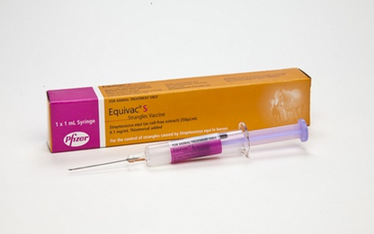 Zoetis Equivac S 1ml Syringe