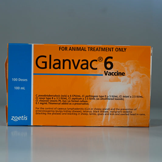Zoetis Glanvac 6 100ml **@@ [sz:100ml]