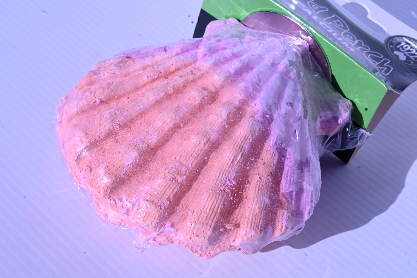 Bird Perch -  Calcium Clam Parrot Small