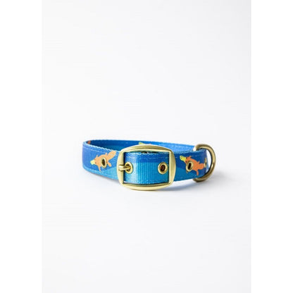 Piper The Platypus Dog Collar Large