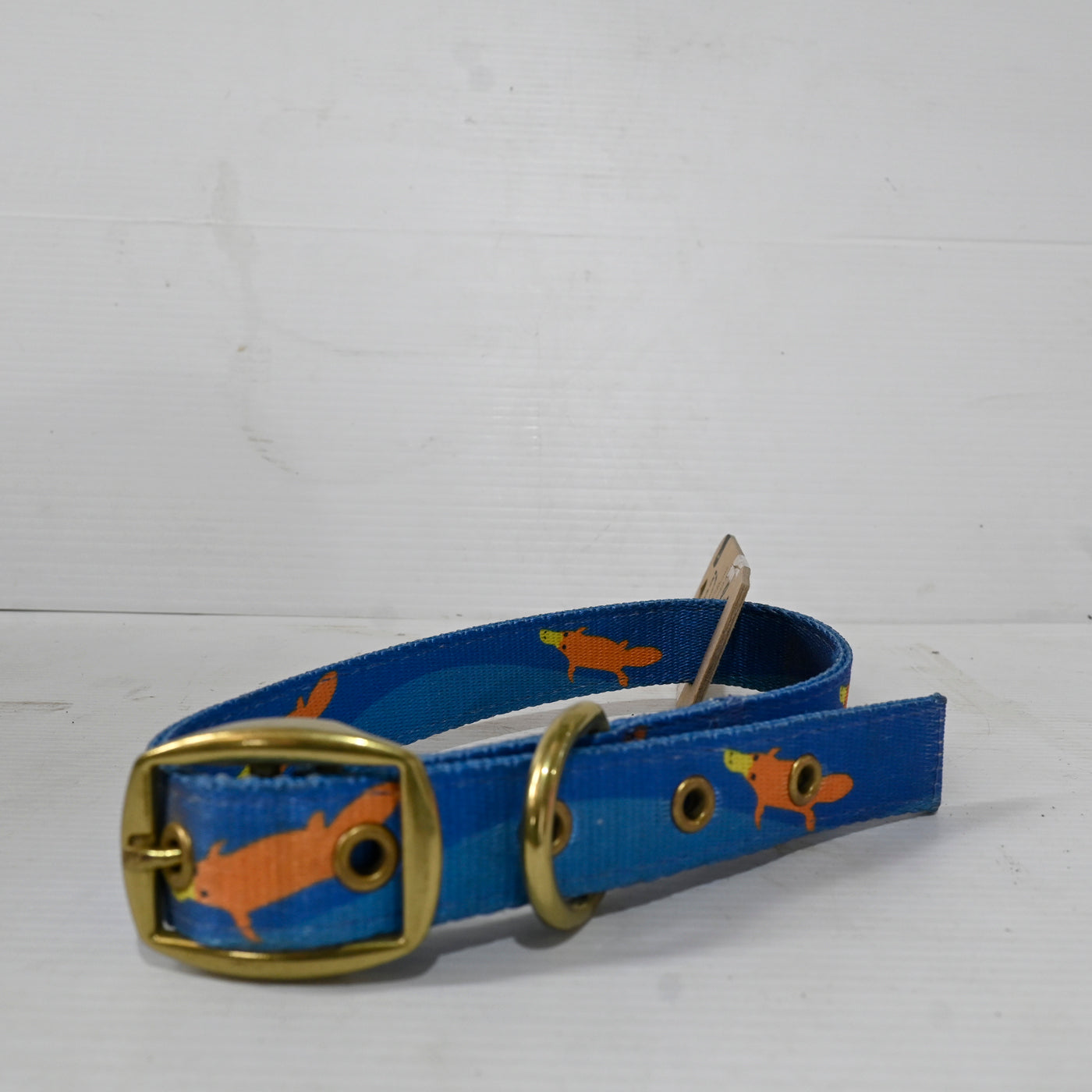 Piper The Platypus Dog Collar Large