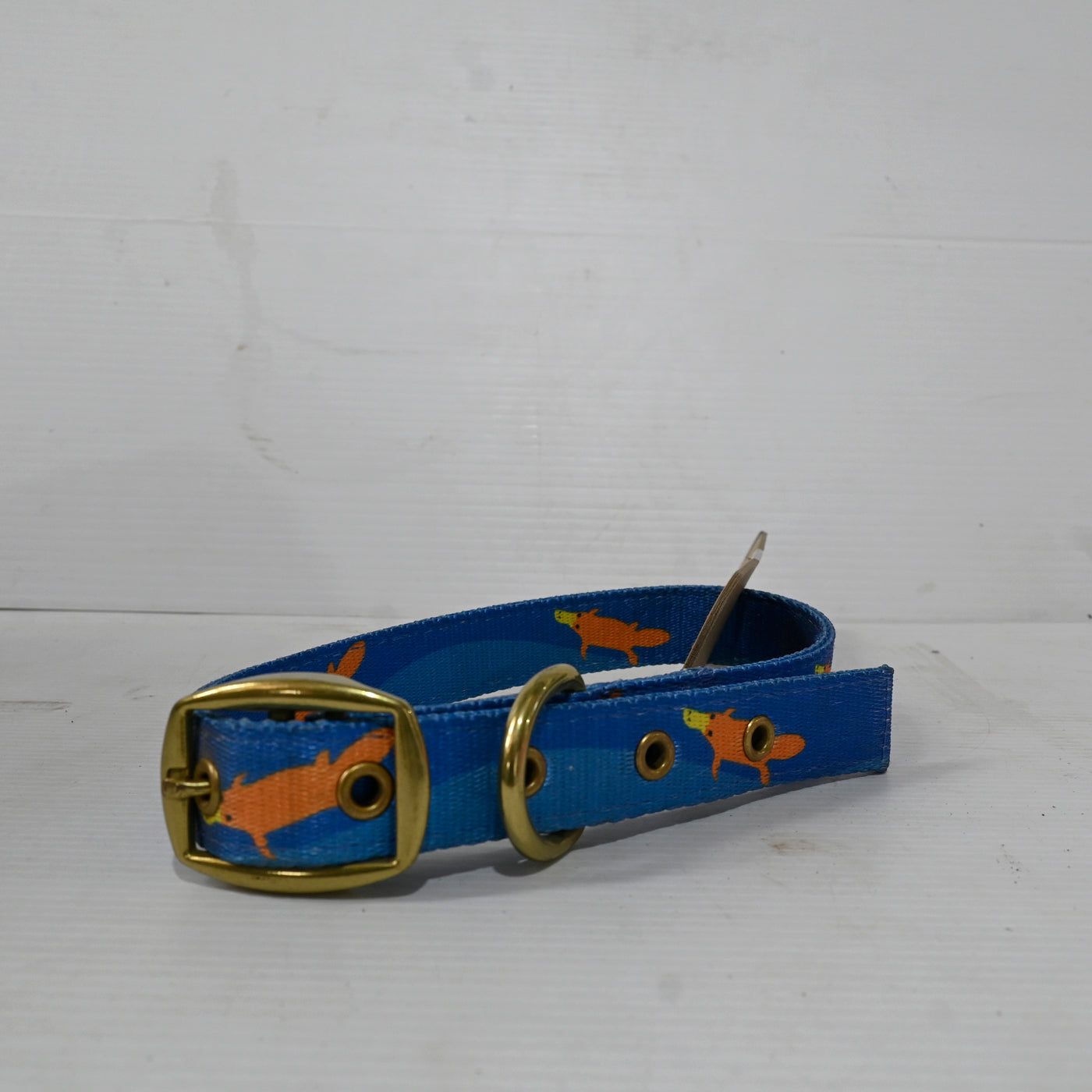 Piper The Platypus Dog Collar Large