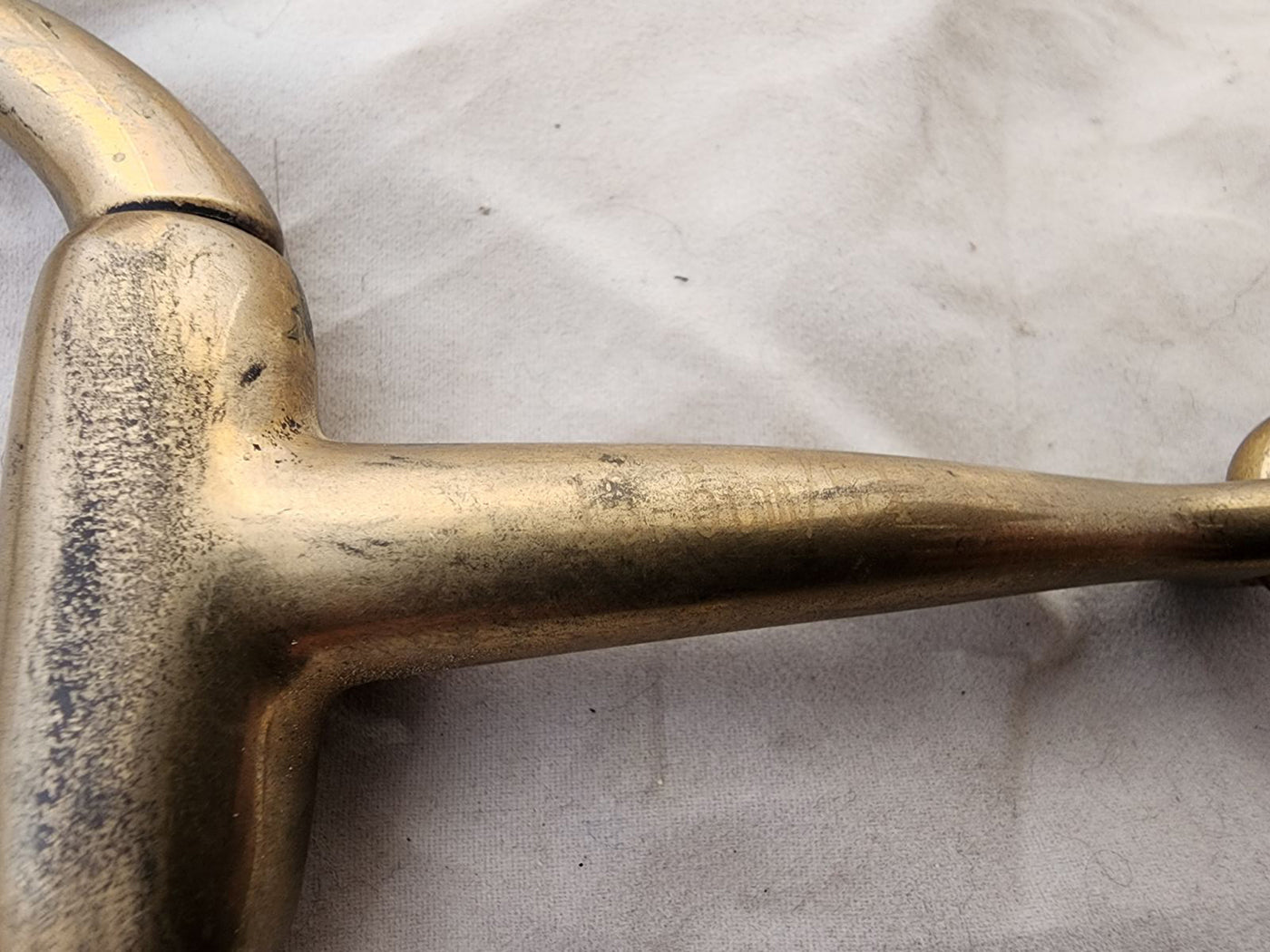 Southern Cross - Gold Flat Ring Eggbutt Bit [sz:full]